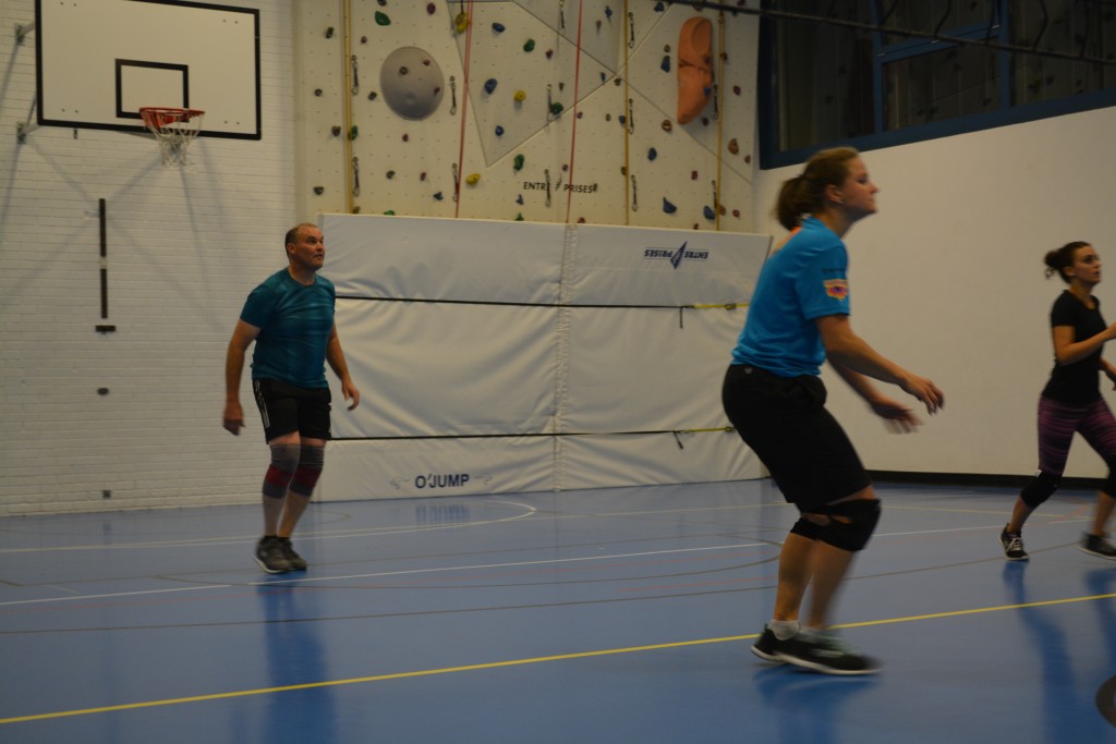 Activités volleyball.jpg